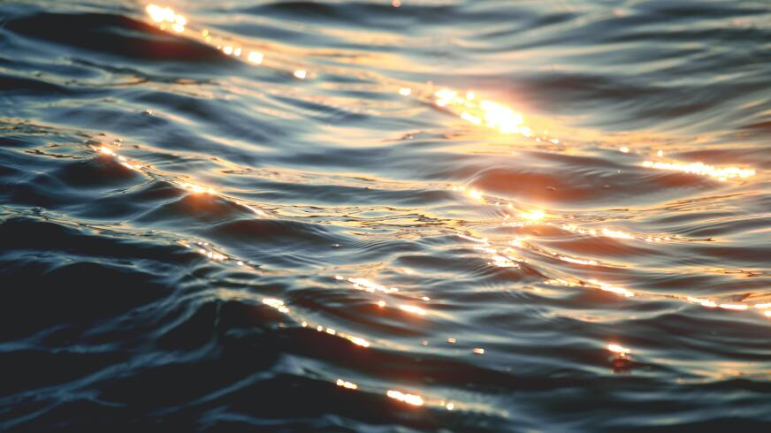 10 Hot Jobs in Santa Cruz County: Week of February 27