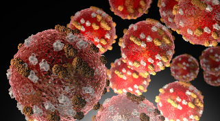 Santa Cruz County health officials join Bay Area professionals urging measles vaccination