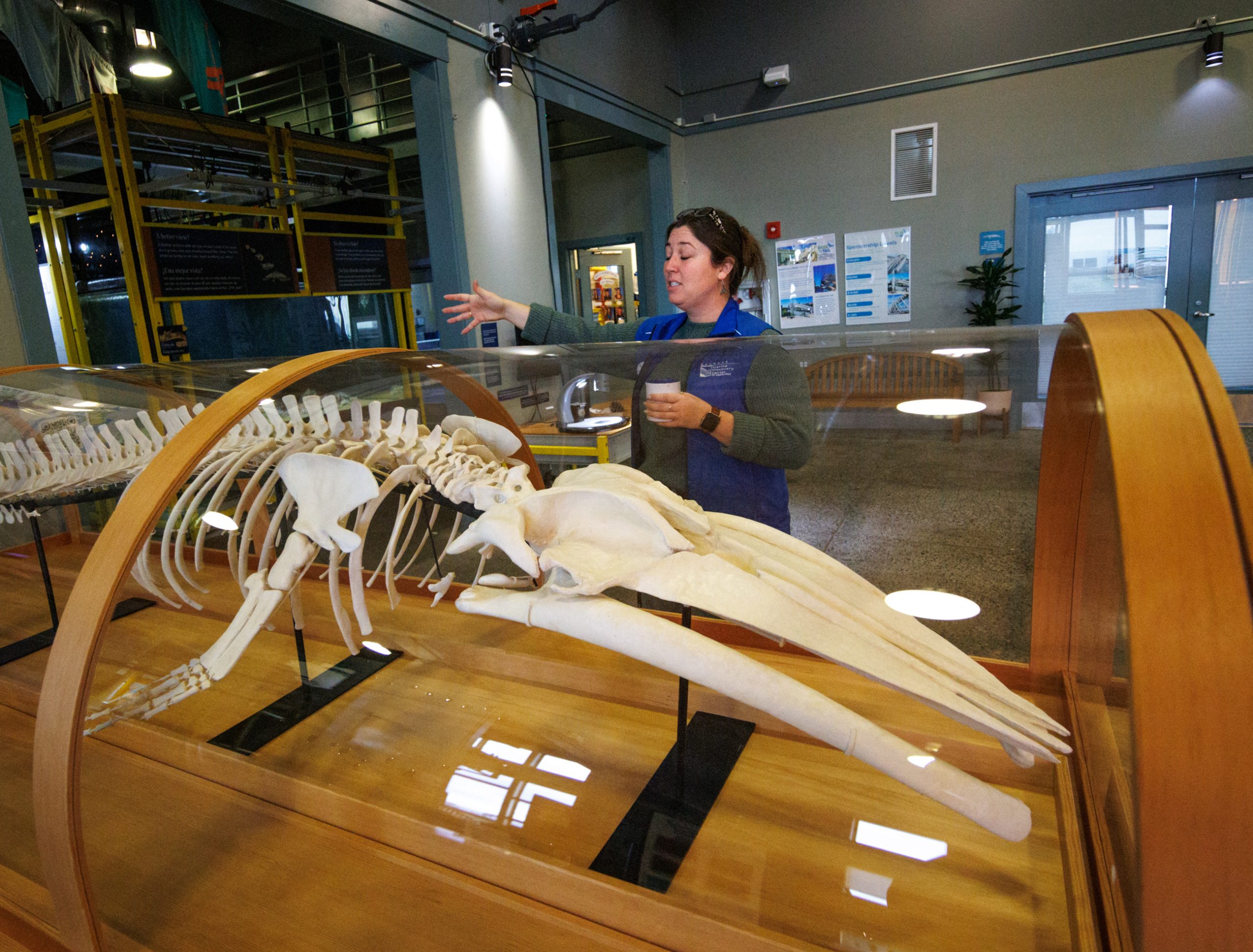 Seymour Marine Discovery Center prepares for biggest exhibition