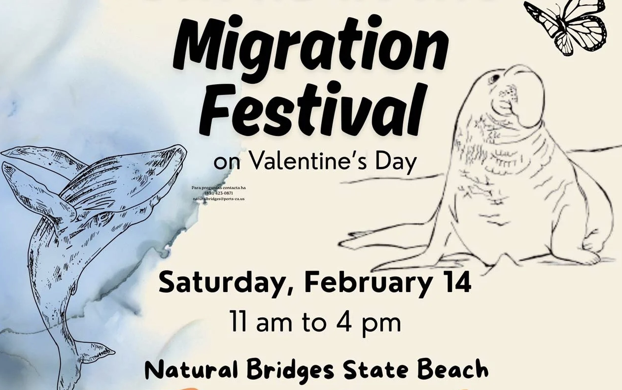 Best of Santa Cruz County food & arts events this weekend, Feb. 12-15