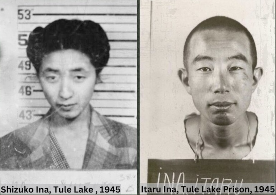 My great-grandparents were interned during World War II: We can’t look away today