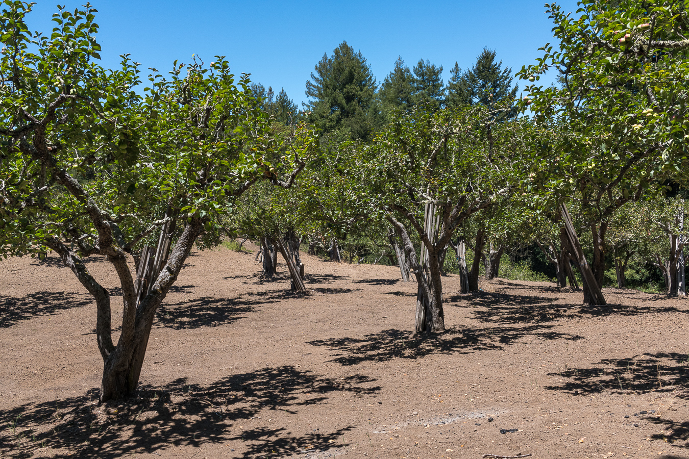 Morning Lookout: Apple farmers' hard times; local cyclists' safety worries; ex-mayor's ice cream odyssey