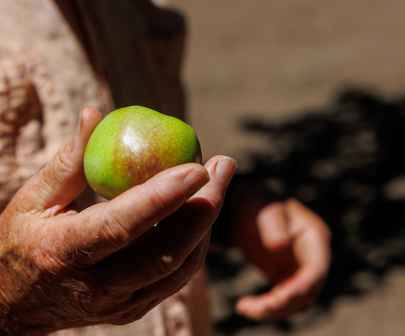 Lily Belli on Food: Apple farmers' woes; Driscoll's legal battles; ex-mayor's ice cream journey