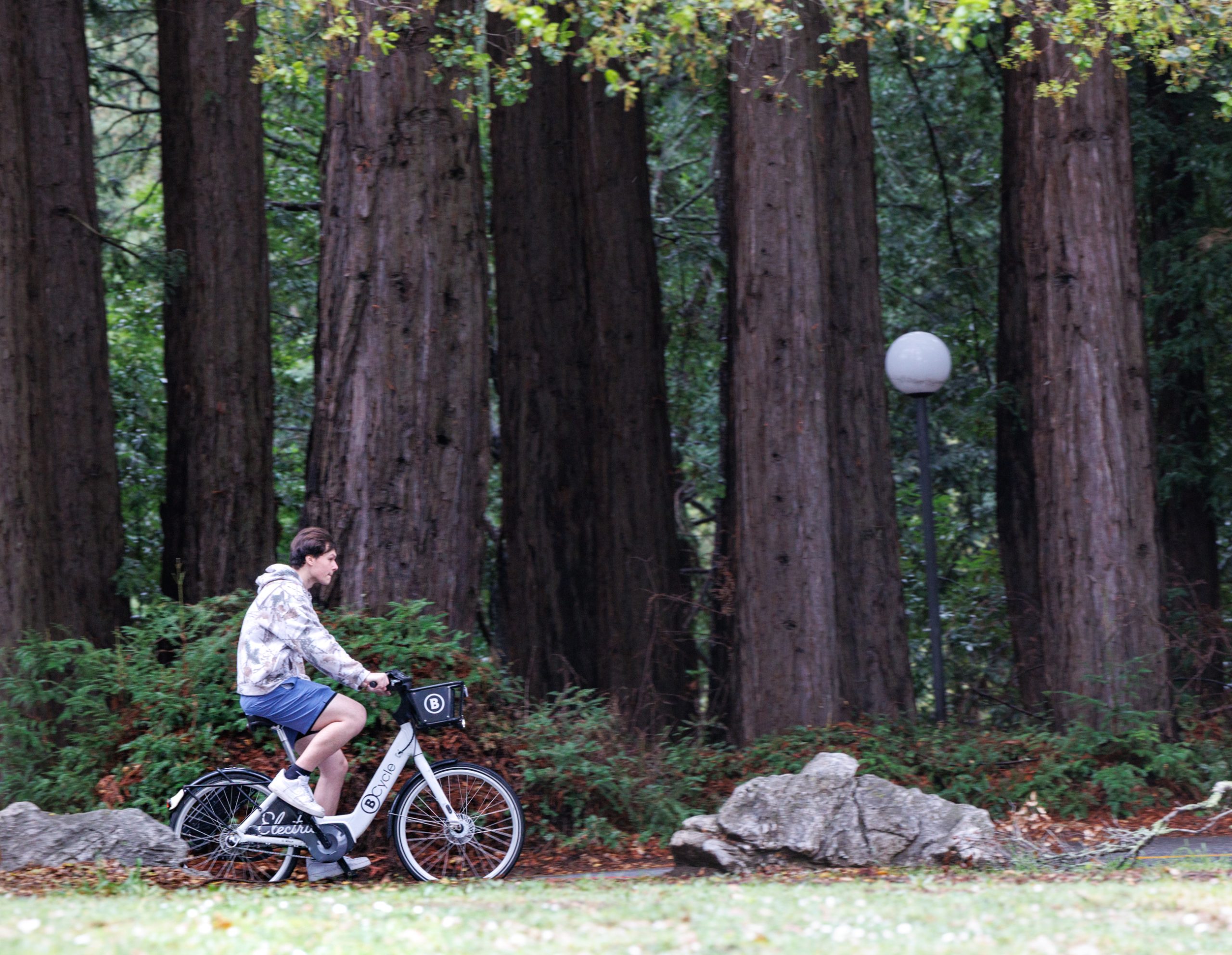 Educator Update: How much should a university spend on student transportation?